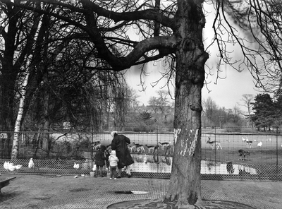 361236 Afbeelding van een moeder met enkele kinderen bij de hertenwei in het park Oog in Al te Utrecht.